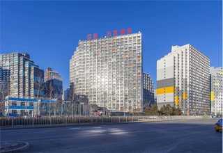 广东原装进口天然驱虫菊素源头好货